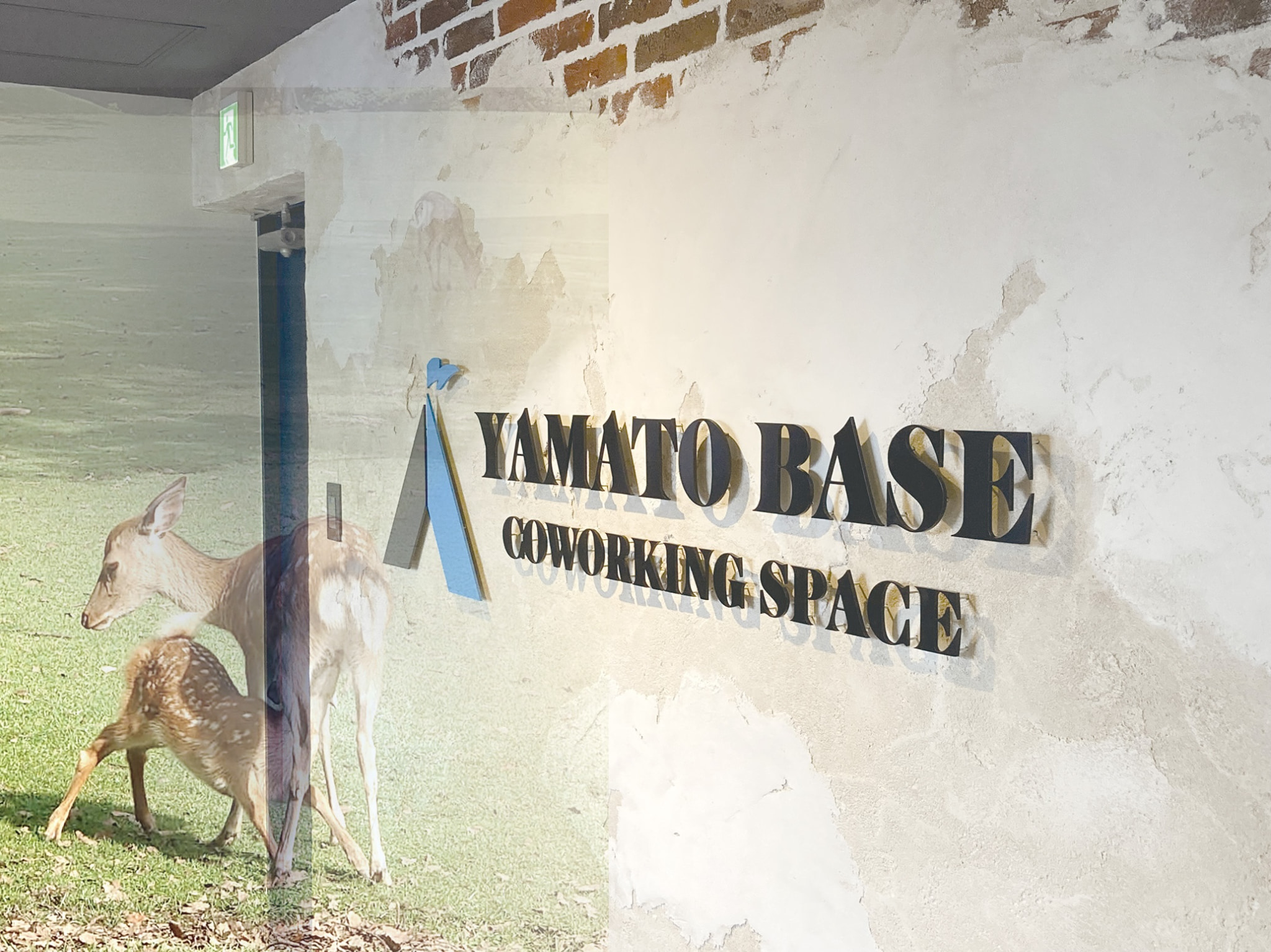 YAMATO BASE 奈良店