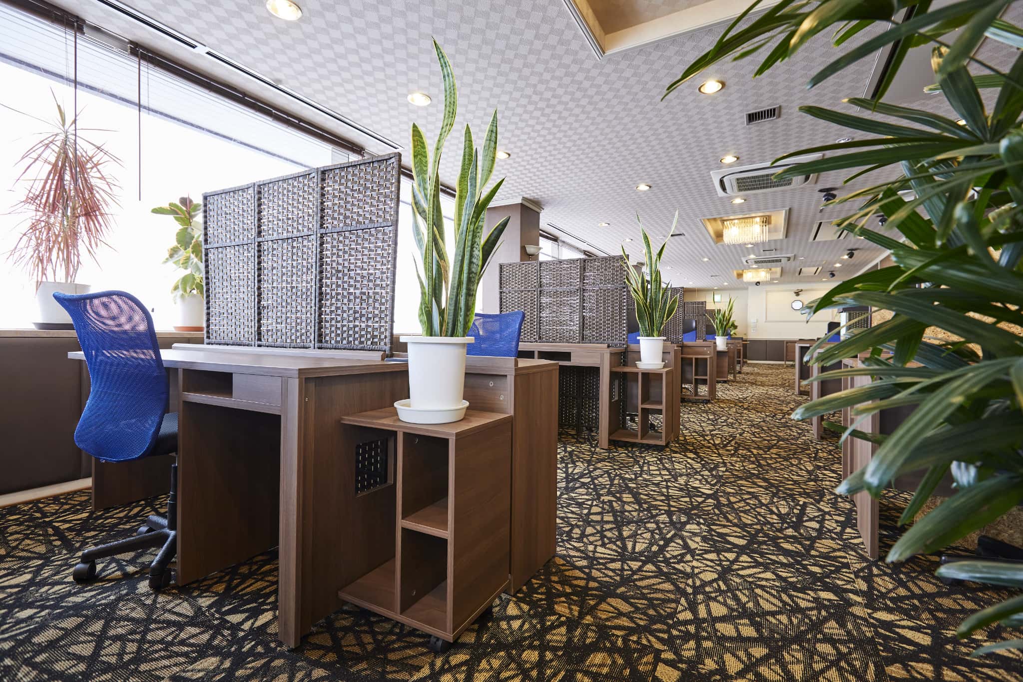 マーキュリークラブ