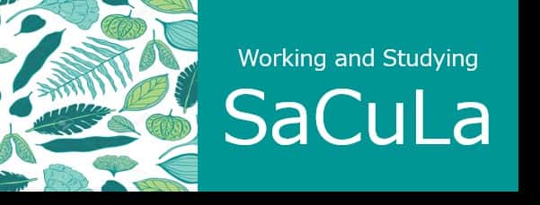 SaCuLa芦花公園